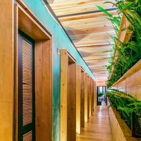 Mexico Hostel